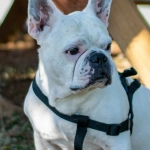 Принятие несовершенства казино с программами лояльности