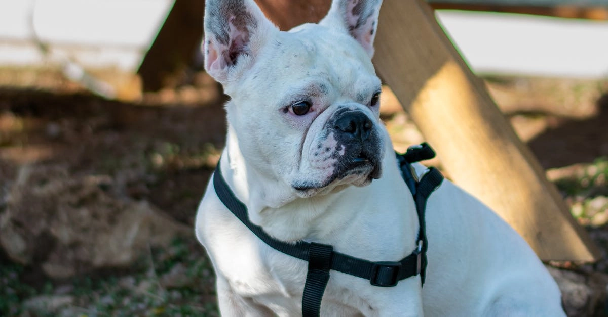 Принятие несовершенства казино с программами лояльности